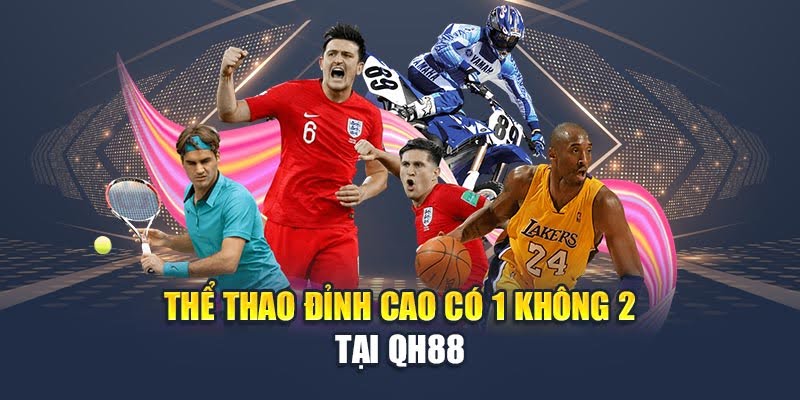 QH88 - Trang Chủ QH 88 - Link Vào QH88 Chính Thức 2025 16 Thể thao đỉnh cao có 1 không 2 tại QH88