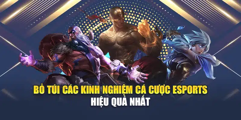 Bỏ Túi Các Kinh Nghiệm Cá Cược Esports Hiệu Quả Nhất 1 Bỏ Túi Các Kinh Nghiệm Cá Cược Esports Hiệu Quả Nhất