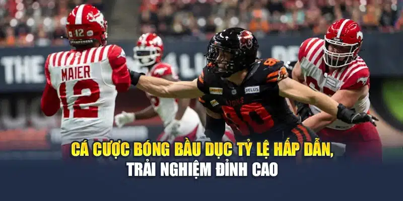 Cá Cược Bóng Bầu Dục Tỷ Lệ Hấp Dẫn, Trải Nghiệm Đỉnh Cao 1 Cá Cược Bóng Bầu Dục Tỷ Lệ Hấp Dẫn, Trải Nghiệm Đỉnh Cao