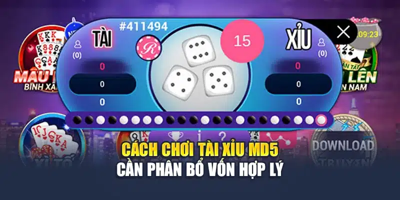Cách chơi tài xỉu MD5 cần phân bổ vốn hợp lý