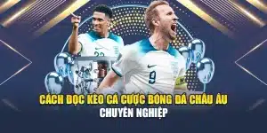 Cách Đọc Kèo Cá Cược Bóng Đá Châu Âu Chuyên Nghiệp