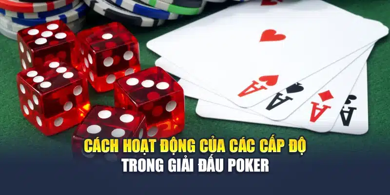 Cách hoạt động của các cấp độ trong giải đấu Poker
