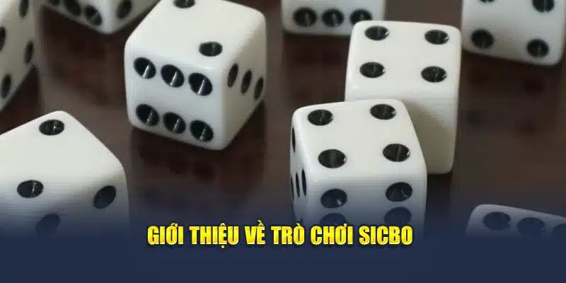 Giới thiệu về trò chơi Sicbo
