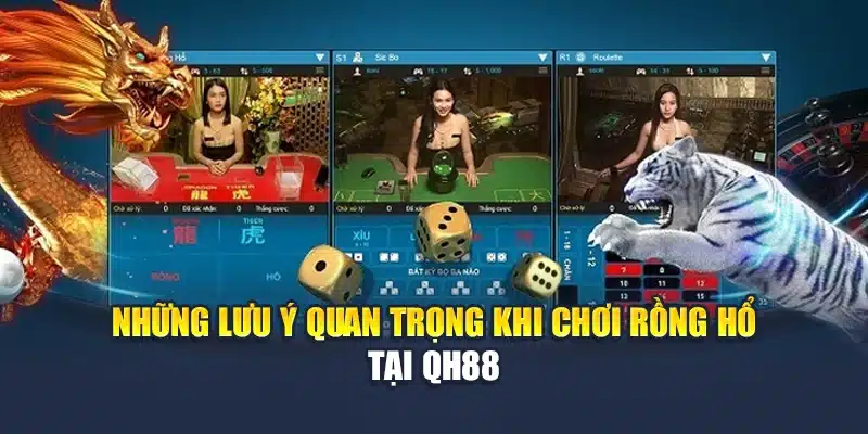 Những lưu ý quan trọng khi chơi Rồng Hổ tại QH88