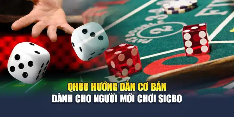 QH88 hướng dẫn cơ bản dành cho người mới chơi Sicbo